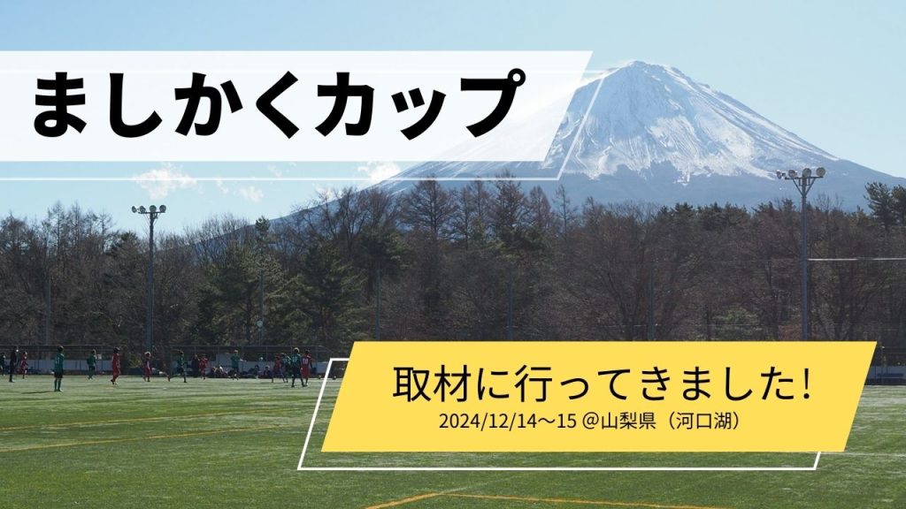 ウィーズブログ 更新情報