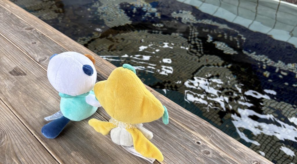 ウィーズブログ 更新情報