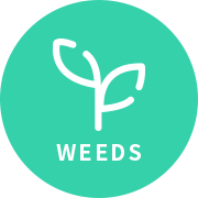 weeds logo